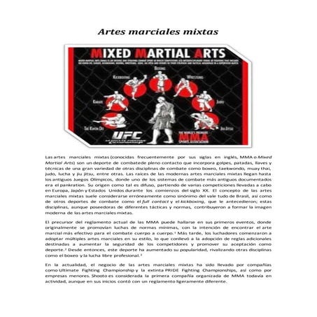 Artes marciales mixtas (1)