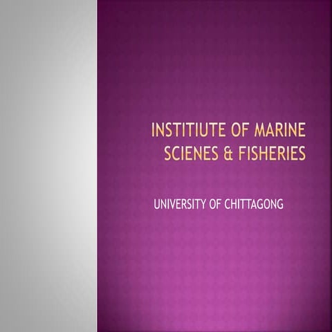 Phylum Arthopoda Clear Concept 