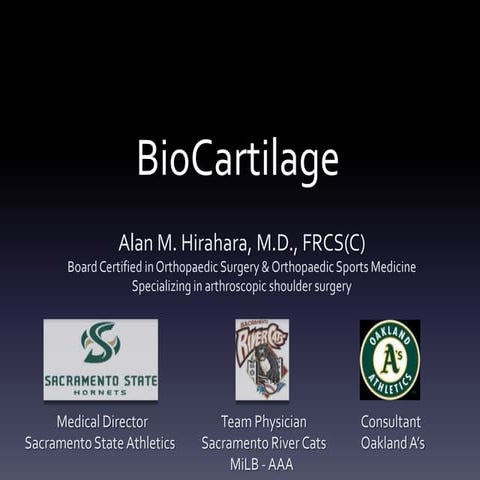 BioCartilage Update 2013
