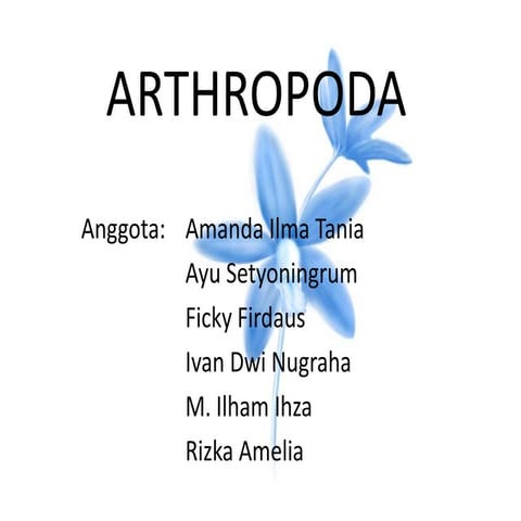 Arthropoda