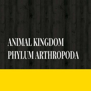 Arthropoda