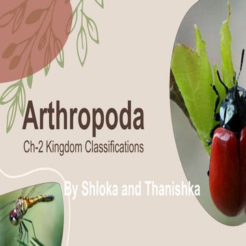 PHYLUM ARTHROPODA | PPTX