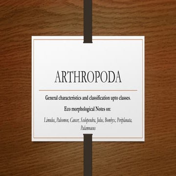 Arthropoda (largest group of animal Kingdom)