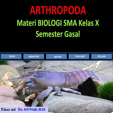 Arthropoda(1)