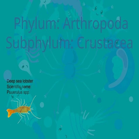 phylun arthropoda class crustacea for high school