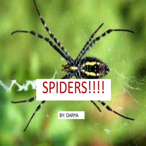Arthropod assignment spider!!!!
