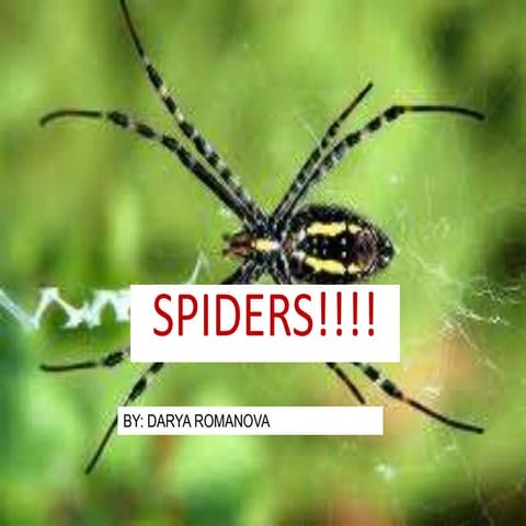 Arthropod assignment spider!!!!