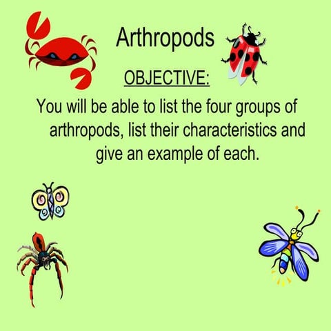 Arthropod groups
