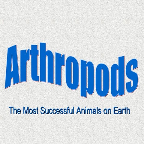 Arthropods - An Introduction