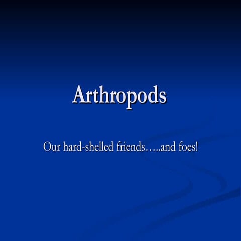 Arthropods Notes