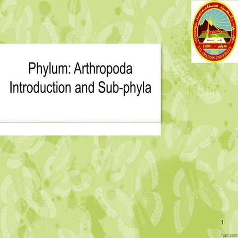 Arthropods are a group of invetebrates.pptx