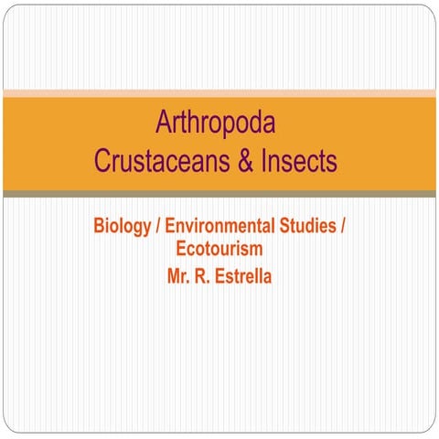 Arthropods