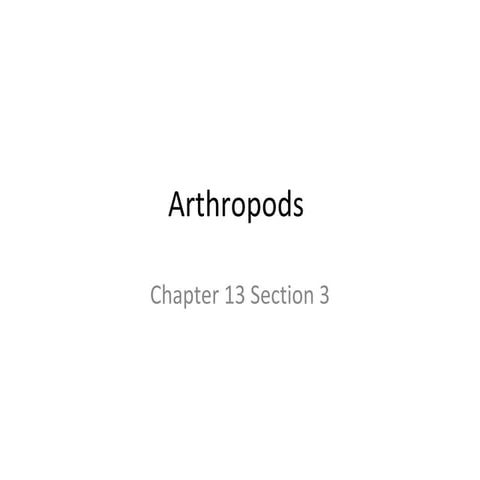 Arthropods