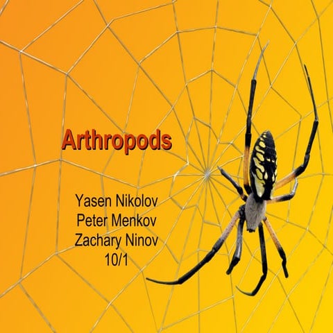 Arthropods 10 1 peter yasen zahari