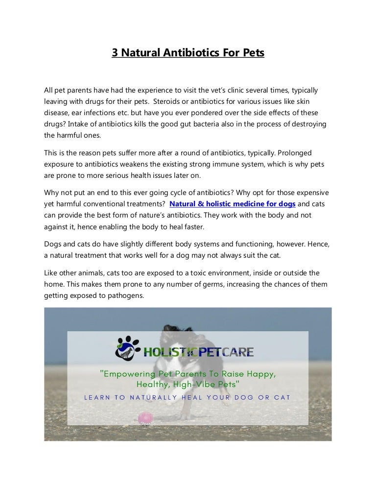 natural antibiotics for cats