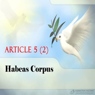 Article 5 (2) right to habeas corpus