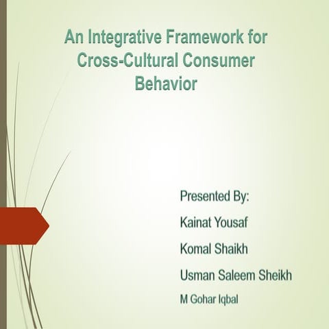 Article an integrative framework for cross cultural consumer behavior