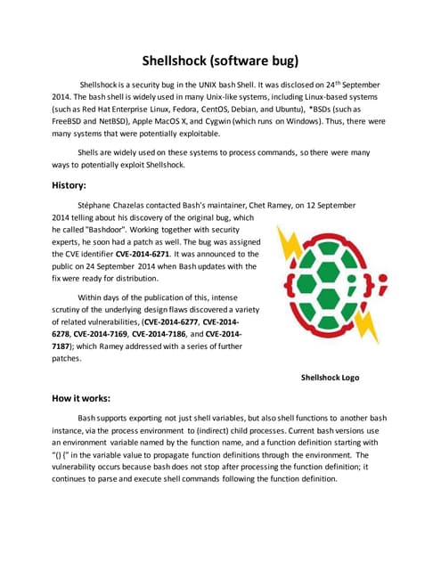Article on shellshock