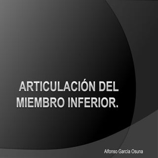 Articulación del miembro inferior