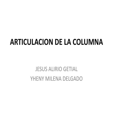 Articulacion de la columna