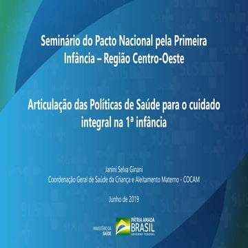 Articulação-das-Políticas-de-Saúde-Janine.pptx