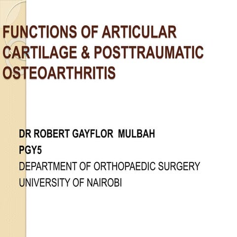 Articular Cartilage & Postraumatic Osteoarthritis