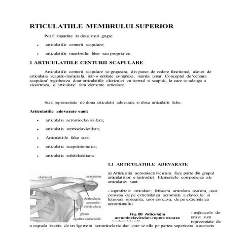 Articulatiile membrului superior