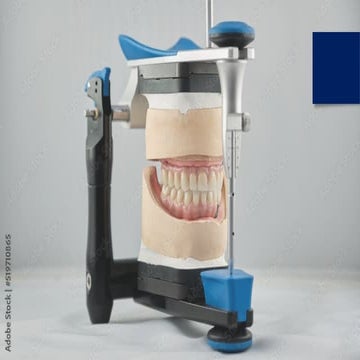 vbn/articulators final.pptxghjkl;'bnm,./