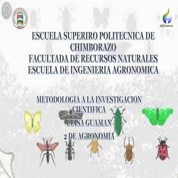 Articulo cientifico de investigacion a la metodologia cientifica