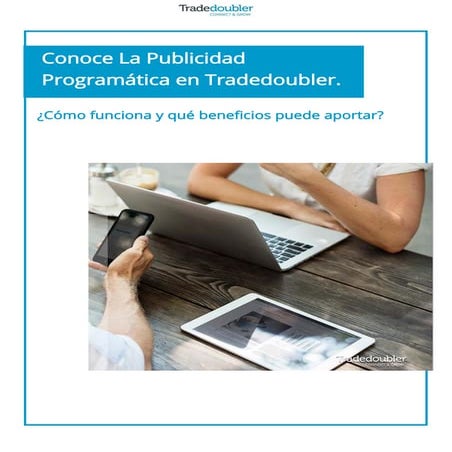 Articulo programática - Tradedoubler