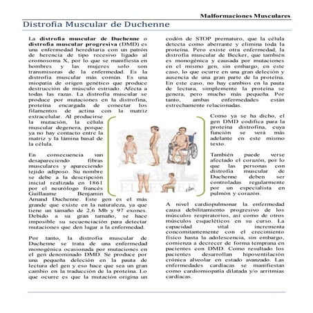 Embriologia - Malformaciones Musculares