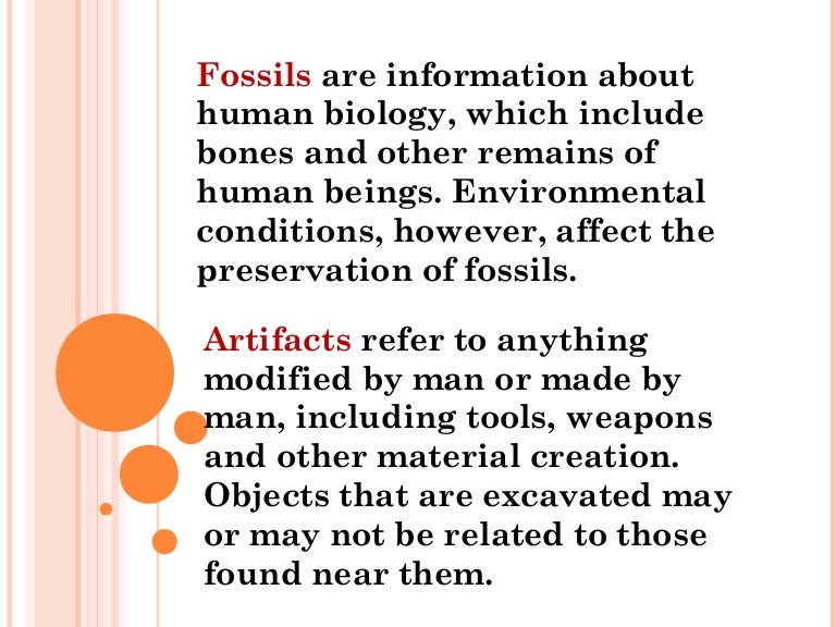 Artifacts and fossils