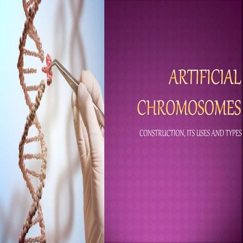 Artificial chromosomes