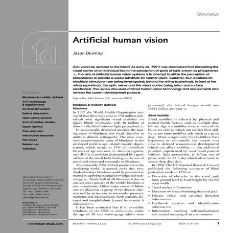 Artificial human vision[10.1.1.130.6725]