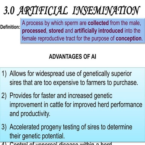 Artificial insemination 2