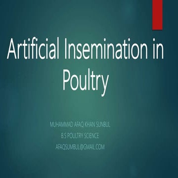 Artificial insemination in Poultry