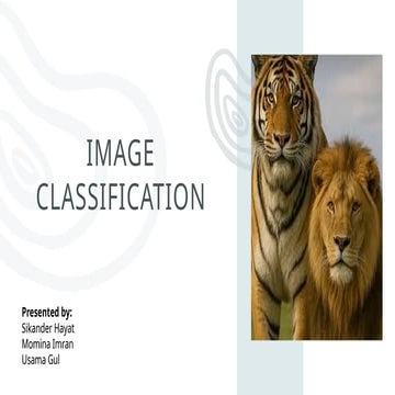 Image Classification of Lions and Tigers Using Machine Learning Models ...