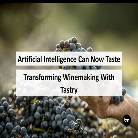 Artificial Intelligence Can Now Taste - Transforming Winemaking With Tastry