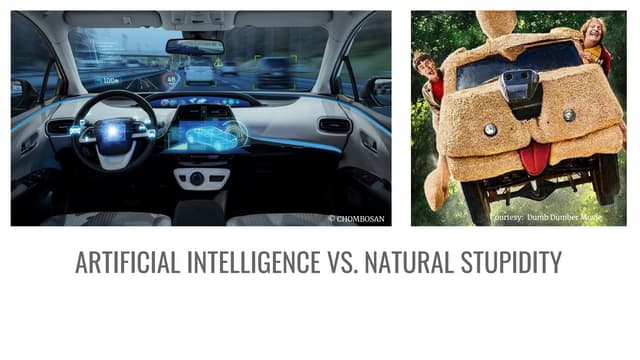 Autonomous Cars, Artificial intelligence and natural stupidity 