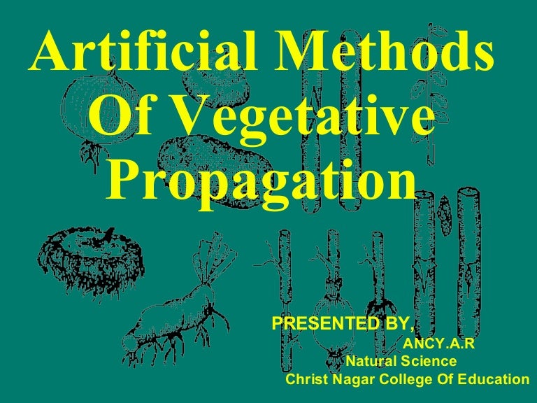 Artificial propagation