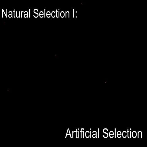 ArtificialSelection.ppt