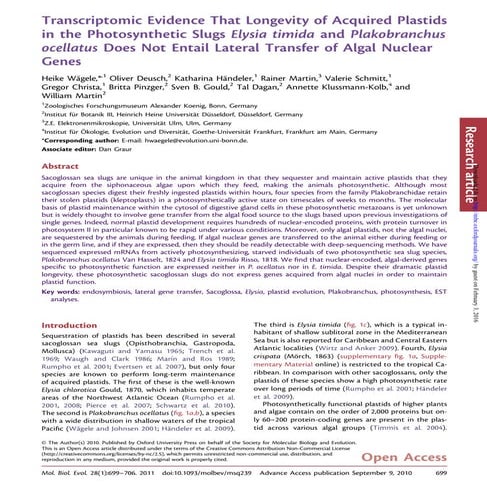 (Artigo 4) mol biol evol 2011-wägele-699-706
