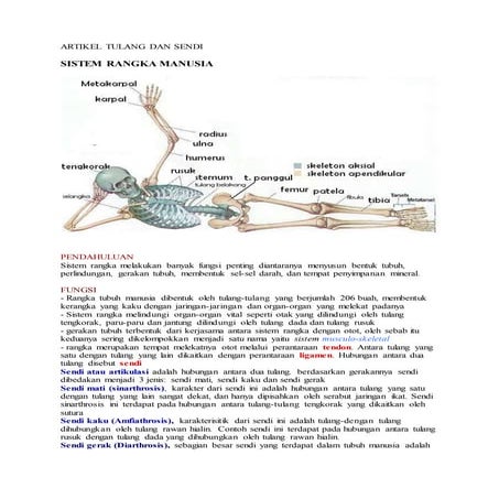 Artikel tulang dan sendi
