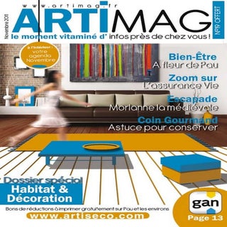 Artimag 19