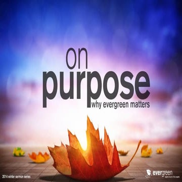 Imitation and Innovation