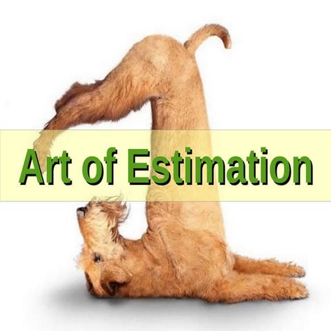 Art of Estimation. Vlad Savitsky