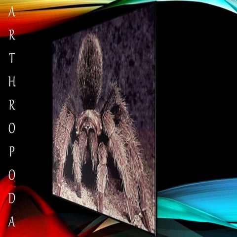 Artopoda ( sri rahayu ) smk duta pratama indonesia