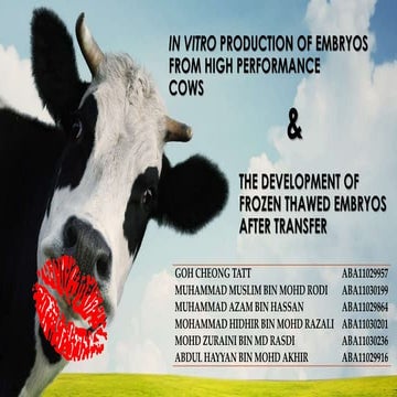 In Vitro Production of Embryo