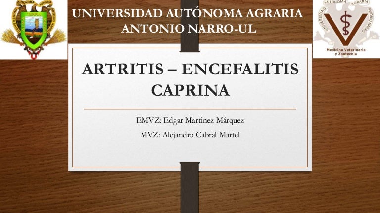artritis encefalitis caprina pruevas de laboratorio