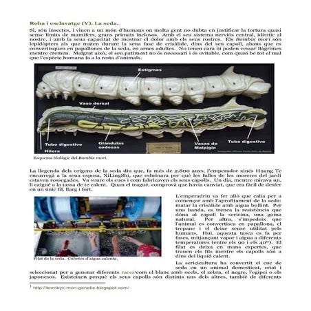 Roba i esclavatge (V).  La seda.